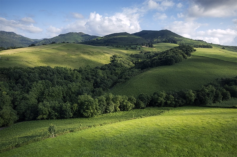 paysage ainhoa créateine pays basque verdure vert